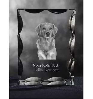 Nova Scotia Duck Tolling Retriever, Toller - Kristall mit einem Hundebild, Glasstatuette mit einem Bild, einzigartiger Bilderrahmen der Marke Art-Dog