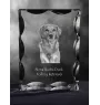 Nova Scotia Duck Tolling Retriever, Yarmouth Toller - crystal with a picture of a dog, glass statuette with a picture, unique frame with a picture from Art-Dog brand