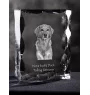 Nova Scotia Duck Tolling Retriever, Yarmouth Toller - crystal with a picture of a dog, glass statuette with a picture, unique frame with a picture from Art-Dog brand
