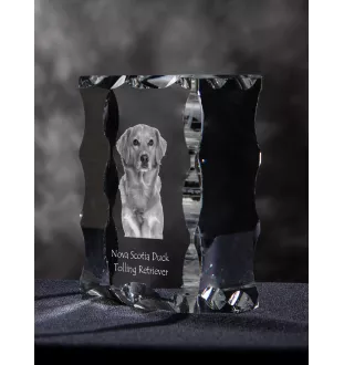 Nova Scotia Duck Tolling Retriever, Yarmouth Toller - crystal with a picture of a dog, glass statuette with a picture, unique frame with a picture from Art-Dog brand