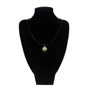 Norfolk Terrier naszyjnik w pudełku ze zdjęciem Art-Dog