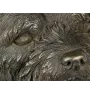 Norwich Terrier, Terrier de Norwich - Statue de chien, buste sur socle en pierre, sculpture, trophée pour exposition canine par la marque Art-Dog