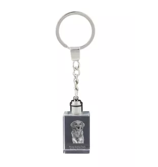 Nova Scotia Duck Tolling Retriever, Yarmouth Toller - Crystal key ring with dog photo, illuminated key ring, unique gift by Art-Dog brand