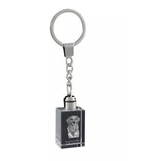 Nova Scotia Duck Tolling Retriever, Yarmouth Toller - Crystal key ring with dog photo, illuminated key ring, unique gift by Art-Dog brand