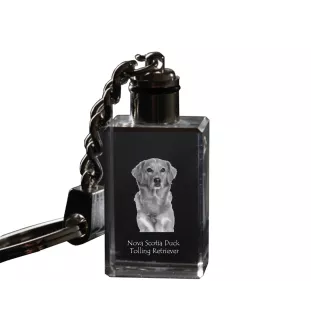 Nova Scotia Duck Tolling Retriever, Yarmouth Toller - Crystal key ring with dog photo, illuminated key ring, unique gift by Art-Dog brand