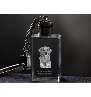 Nova Scotia Duck Tolling Retriever, Toller - Schlüsselanhänger aus Kristall mit Hundefoto, beleuchteter Schlüsselanhänger, einzigartiges Geschenk der Marke Art-Dog