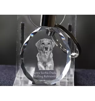Retriever de la Nouvelle-Écosse, Nova Scotia Duck Tolling Retriever - pendentif avec une photo de chien, porte-clés en cristal dans une boîte cadeau, un cadeau unique par Art-Dog