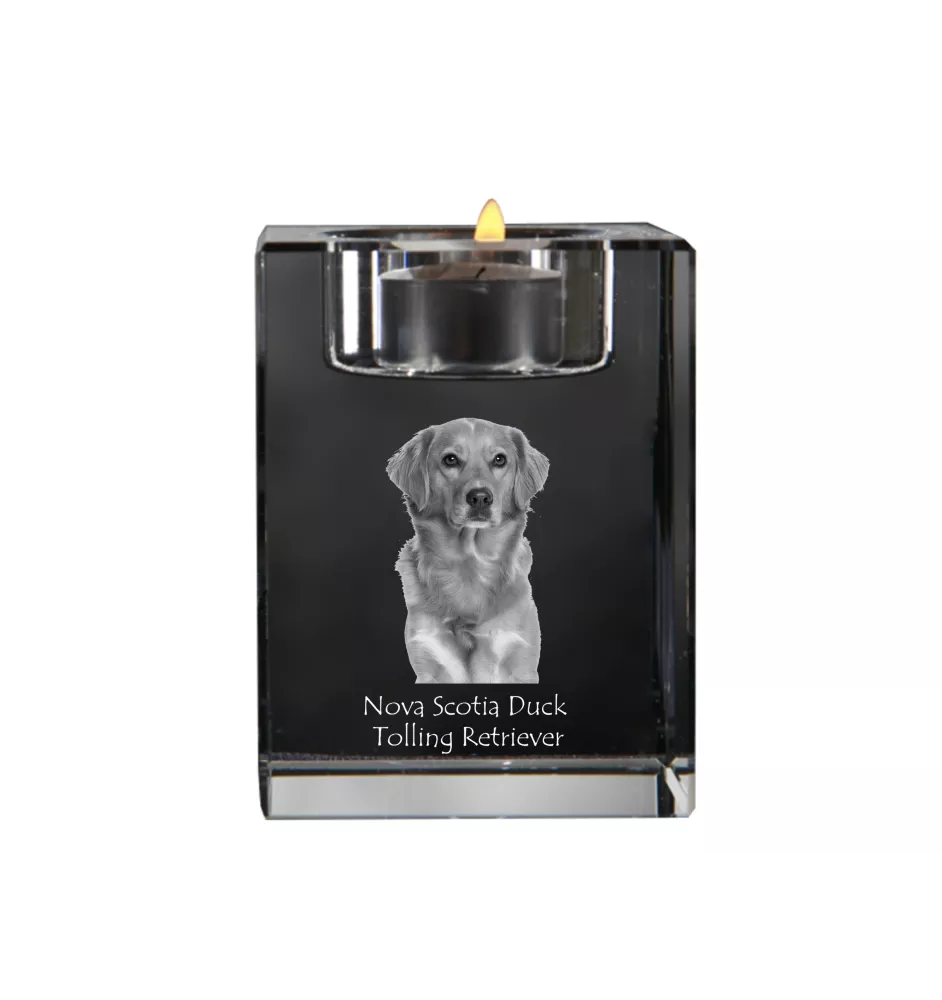 Retriever z Nowej Szkocji świecznik kryształowy z psem Art-Dog