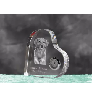 Retriever z Nowej Szkocji zegar w kształcie serca z psem Art-Dog