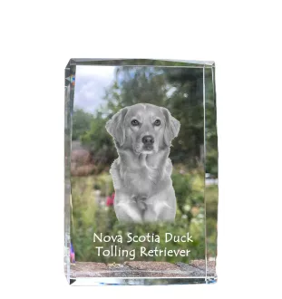 Nova Scotia Duck Tolling Retriever, Toller - Kristall mit einem Hundebild, Bild im Glas, moderne Ausstellung des Art-Dog-Bildes.