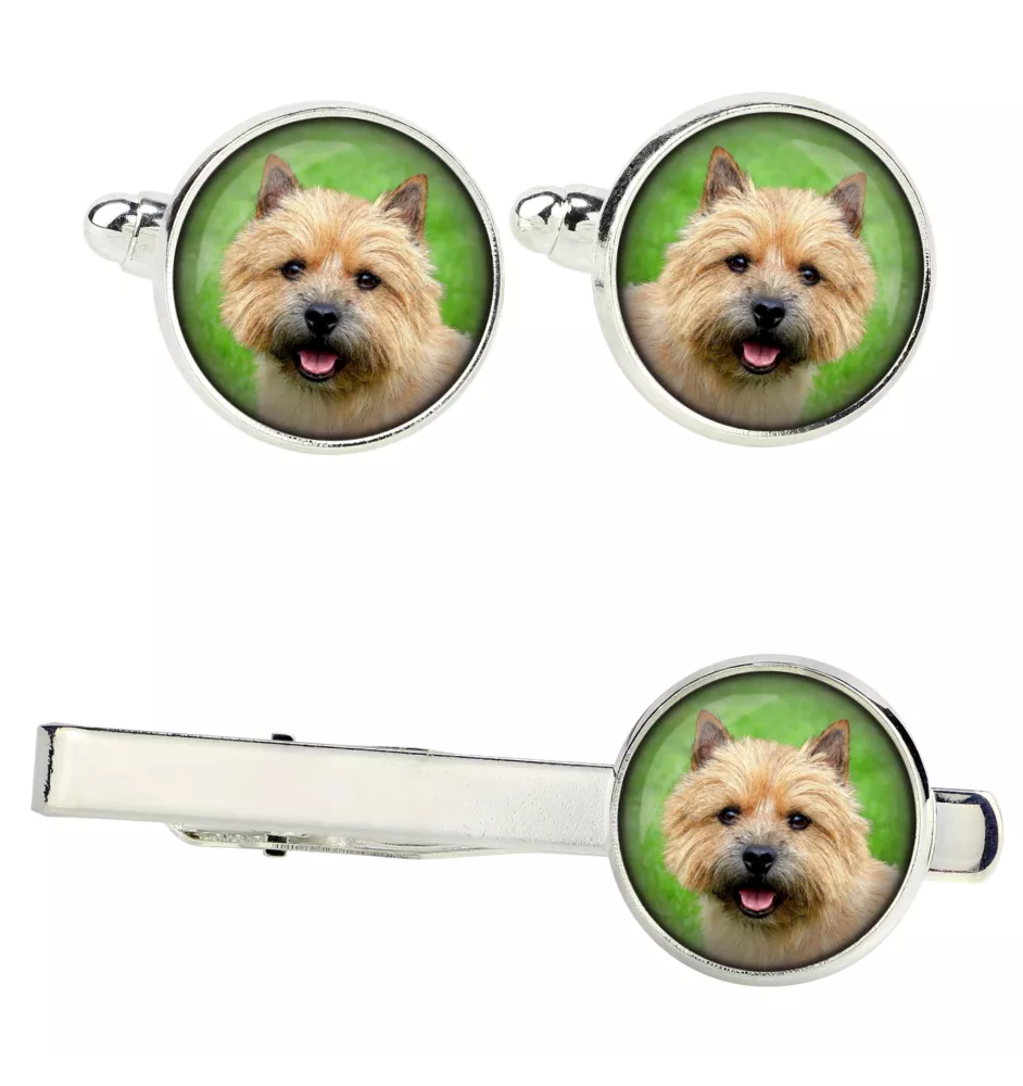 Norwich Terrier Ärmelknöpfe und Krawatte mit Ihrem Foto, Anzugaccessoire, Herrenschmuck der Marke Art-Dog