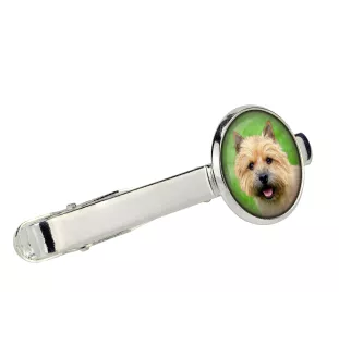 Norwich Terrier zestaw spinek w pudełku ze zdjęciem Art-Dog