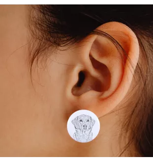 Retriever de la Nouvelle-Écosse, Nova Scotia Duck Tolling Retriever - boucles d'oreilles uniques avec un chien, votre animal de compagnie sur un porte-clés, marque propre Art-Dog