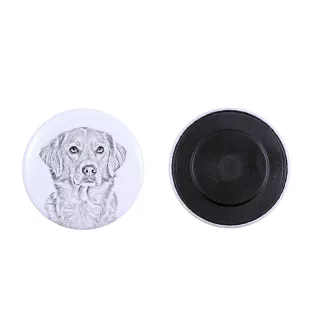 Nova Scotia Duck Tolling Retriever, Yarmouth Toller - magnet with a dog's pupil, exceptionally light, strong magnet, handmade product by the Art-Dog brand