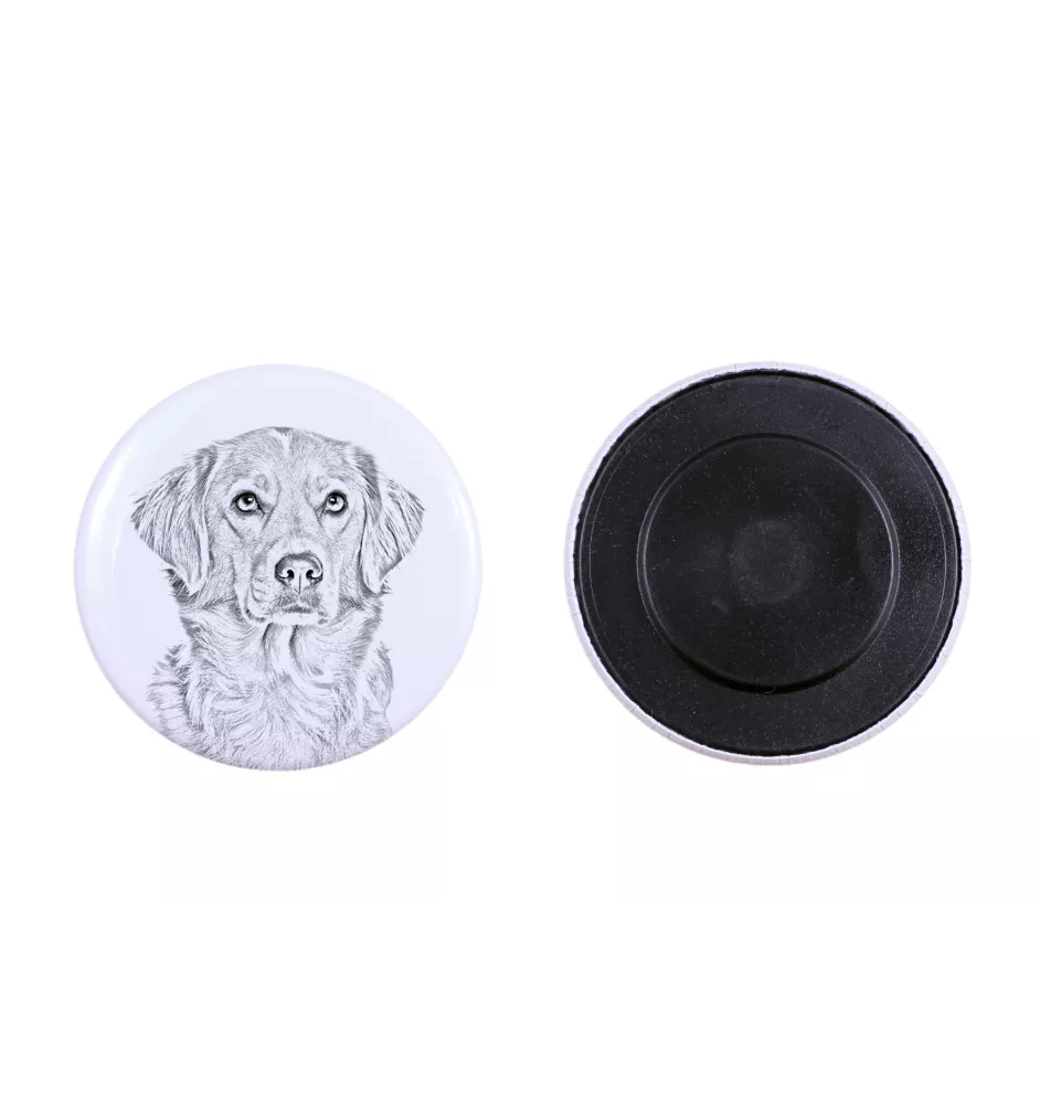 Retriever z Nowej Szkocji magnes z psem mały Art-Dog