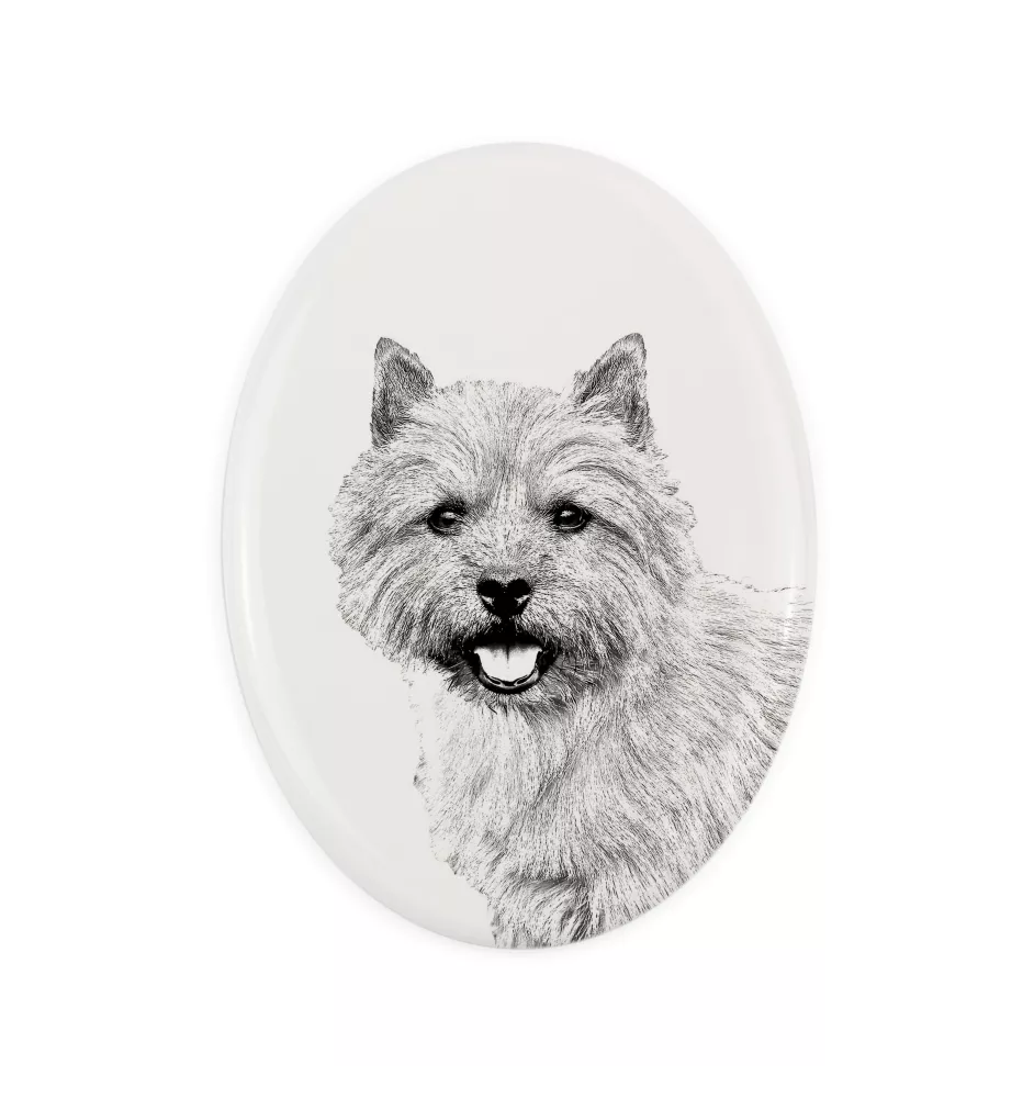Norwich Terrier - commemorative plaque with a photo of a dog, tombstone with a print, personalized oval plaque from the Art-Dog brand