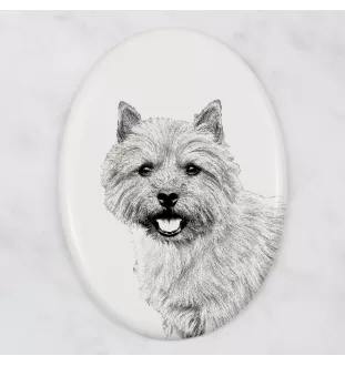 Norwich Terrier - commemorative plaque with a photo of a dog, tombstone with a print, personalized oval plaque from the Art-Dog brand