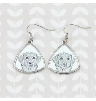 Nova Scotia Duck Tolling Retriever, Yarmouth Toller - dog earrings, hanging earrings with a picture, personalized jewelry with Art-Dog brand print