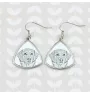 Retriever de la Nouvelle-Écosse, Nova Scotia Duck Tolling Retriever - boucles d'oreilles avec chien, boucles d'oreilles pendantes avec photo, bijoux personnalisés avec impression de la marque Art-Dog