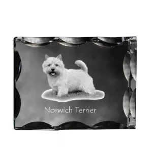 Norwich Terrier - Kristall mit einem Hundebild, Glasstatuette mit einem Bild, einzigartiger Bilderrahmen der Marke Art-Dog