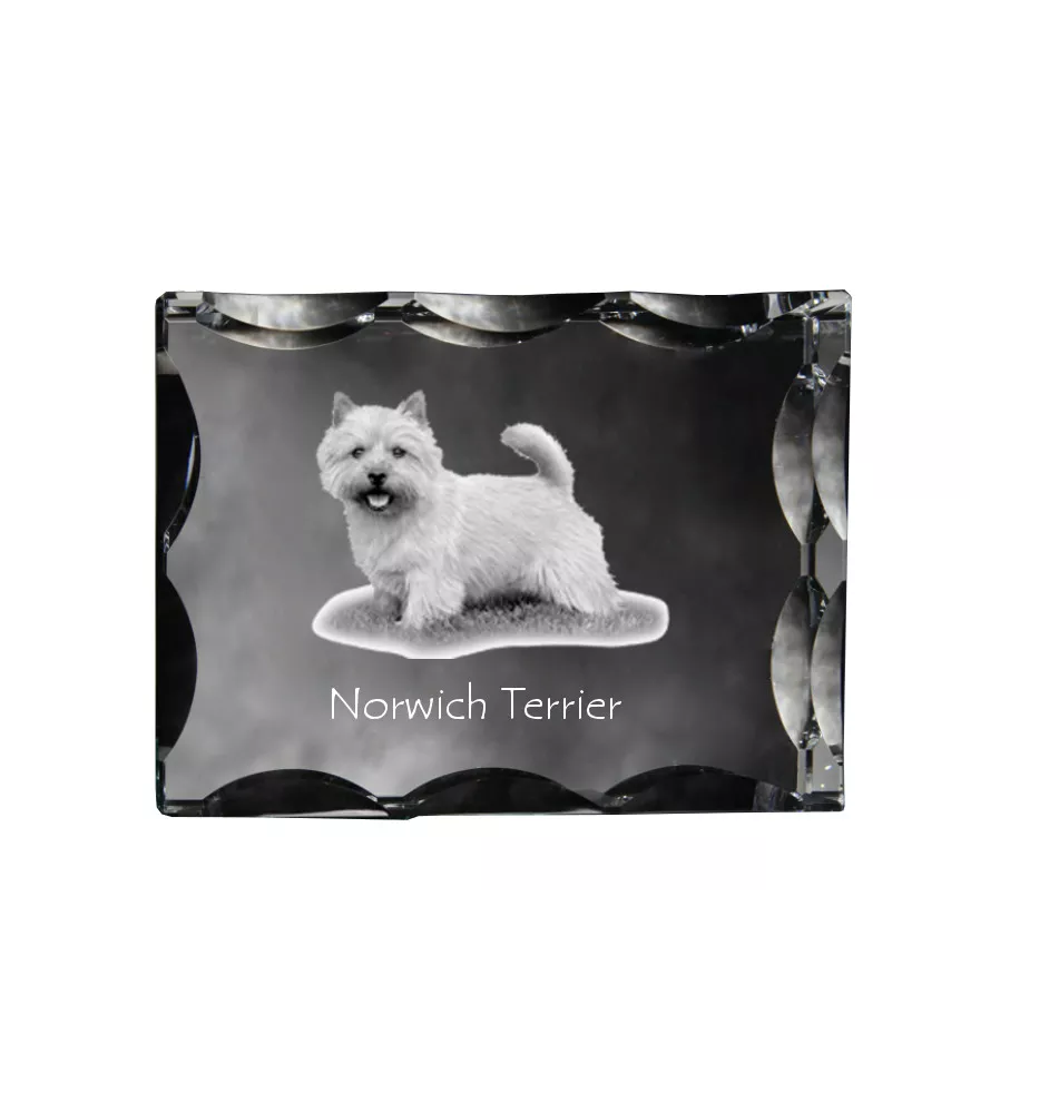 Norwich Terrier, Terrier de Norwich - cristal avec photo de chien, statuette en verre avec photo, cadre exceptionnel avec photo de la marque Art-Dog