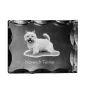 Norwich Terrier - Kristall mit einem Hundebild, Glasstatuette mit einem Bild, einzigartiger Bilderrahmen der Marke Art-Dog