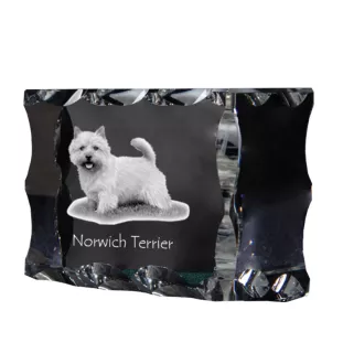 Norwich Terrier - Kristall mit einem Hundebild, Glasstatuette mit einem Bild, einzigartiger Bilderrahmen der Marke Art-Dog