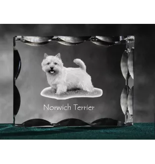 Norwich Terrier - Kristall mit einem Hundebild, Glasstatuette mit einem Bild, einzigartiger Bilderrahmen der Marke Art-Dog