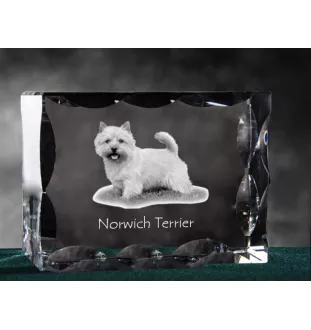 Norwich Terrier - Kristall mit einem Hundebild, Glasstatuette mit einem Bild, einzigartiger Bilderrahmen der Marke Art-Dog