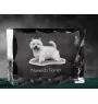 Norwich Terrier - Kristall mit einem Hundebild, Glasstatuette mit einem Bild, einzigartiger Bilderrahmen der Marke Art-Dog