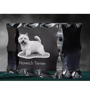 Norwich Terrier - Kristall mit einem Hundebild, Glasstatuette mit einem Bild, einzigartiger Bilderrahmen der Marke Art-Dog