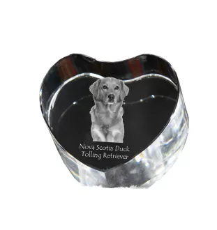 Nova Scotia Duck Tolling Retriever, Yarmouth Toller - a photo of a dog in crystal, crystal heart, unique photo frame from the Art-Dog brand