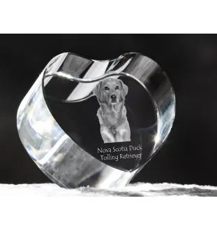 Nova Scotia Duck Tolling Retriever, Toller - Hundebild im Kristall, Kristallherz, einzigartiger Bilderrahmen der Marke Art-Dog