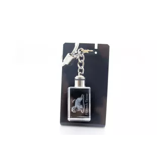 Norwich Terrier, Terrier de Norwich - Porte-clés en cristal avec photo de chien, porte-clés lumineux, cadeau unique de la marque Art-Dog