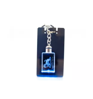 Norwich Terrier - Crystal key ring with dog photo, illuminated key ring, unique gift by Art-Dog brand