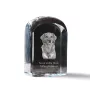 Retriever de la Nouvelle-Écosse, Nova Scotia Duck Tolling Retriever - un cube de cristal avec une photo, une photo de chien dans le cristal, un presse-papiers cubique de la marque Art-Dog