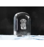 Retriever de la Nouvelle-Écosse, Nova Scotia Duck Tolling Retriever - un cube de cristal avec une photo, une photo de chien dans le cristal, un presse-papiers cubique de la marque Art-Dog