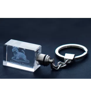 Norwich Terrier, Terrier de Norwich - Porte-clés en cristal avec photo de chien, porte-clés lumineux, cadeau unique de la marque Art-Dog