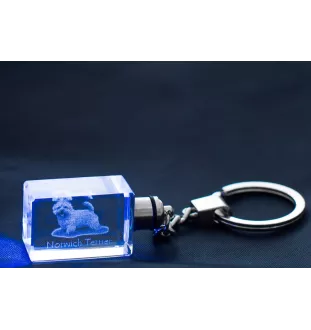 Norwich Terrier - Schlüsselanhänger aus Kristall mit Hundefoto, beleuchteter Schlüsselanhänger, einzigartiges Geschenk der Marke Art-Dog