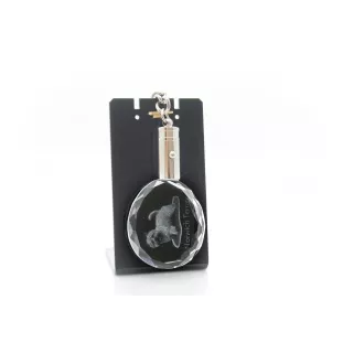 Norwich Terrier - pendant with a photo of a dog, crystal key ring in a gift box, a unique gift by Art-Dog