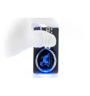 Norwich Terrier - pendant with a photo of a dog, crystal key ring in a gift box, a unique gift by Art-Dog