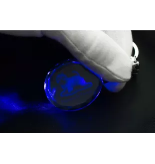 Norwich Terrier - pendant with a photo of a dog, crystal key ring in a gift box, a unique gift by Art-Dog