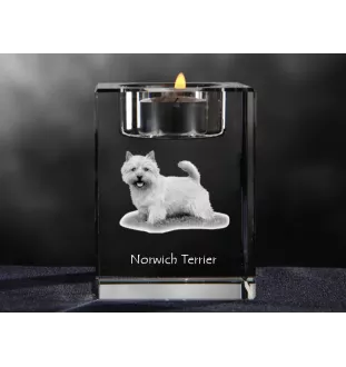 Norwich Terrier, Terrier de Norwich - Bougeoir avec photo de chien, porte bougie en cristal, cadeau personnalisé par la marque Art-Dog
