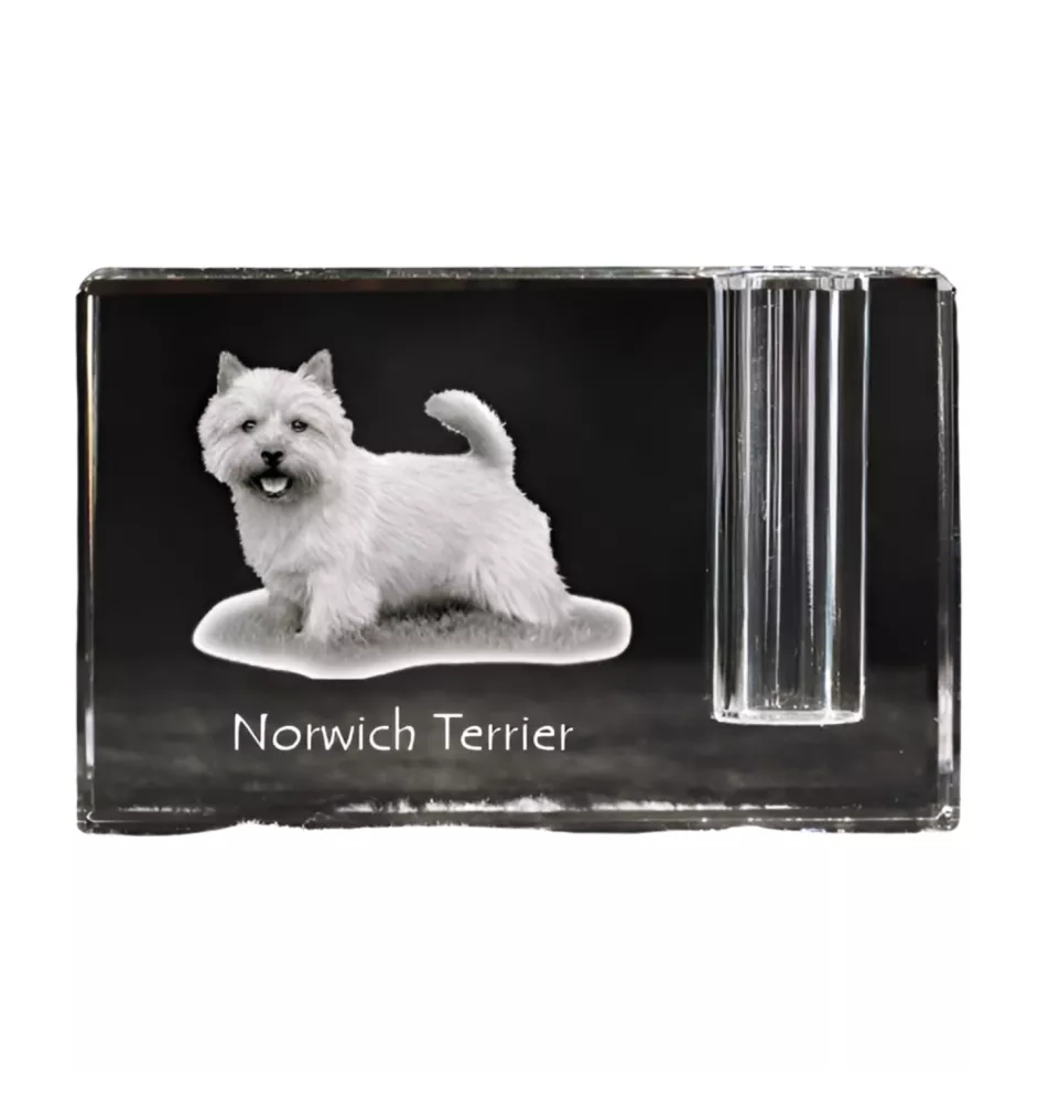 Norwich Terrier - Pen stand, crystal organiser with dog photo, unique desk decoration by Art-Dog brand