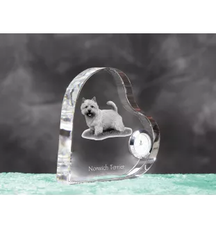 Norwich Terrier, Terrier de Norwich - horloge en cristal avec une photo de chien, horloge de table en forme de cœur, horloge debout personnalisée de la marque Art-Dog
