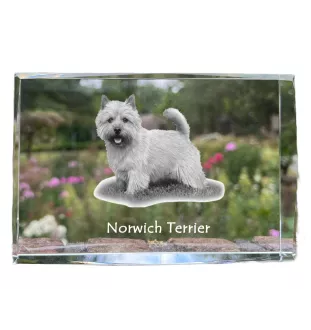 Norwich Terrier, Terrier de Norwich - cristal avec une photo de chien, photo sous verre, exposition moderne de la marque de photos Art-Dog