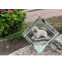 Norwich Terrier, Terrier de Norwich - un cube de cristal avec une photo, une photo de cheval dans le cristal, un presse-papiers cubique de la marque Art-Dog
