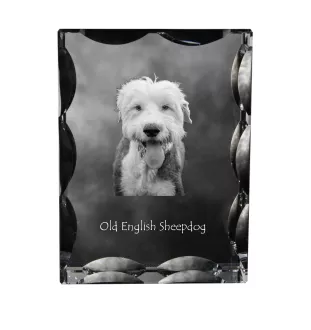 Old English Sheepdog - crystal with a picture of a dog, glass statuette with a picture, unique frame with a picture from Art-Dog brand