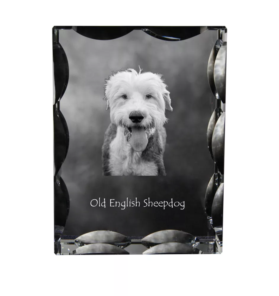 Old English Sheepdog - Kristall mit einem Hundebild, Glasstatuette mit einem Bild, einzigartiger Bilderrahmen der Marke Art-Dog