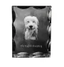Chien de Berger Anglais - cristal avec photo de chien, statuette en verre avec photo, cadre exceptionnel avec photo de la marque Art-Dog
